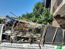 Professional Junk Removal in Langdon, ND